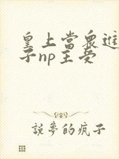 皇上当众进入太子np主受