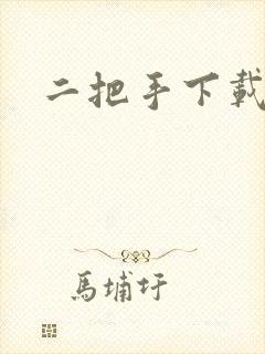 二把手下载