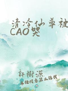 清冷仙尊被强制CAO哭