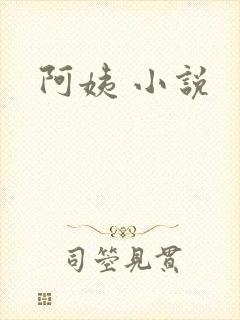 阿姨 小说