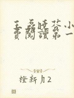 王磊晓芬小说免费阅读第一章