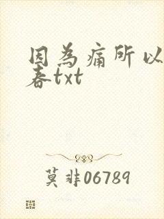 因为痛所以叫青春txt