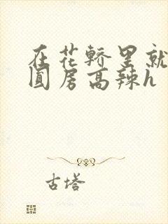 在花轿里就开始圆房高辣h