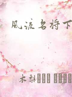 风流名将下载