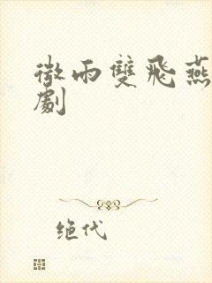 微雨双飞燕电视剧