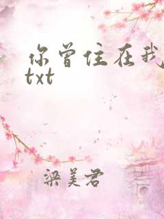 你曾住在我心上txt