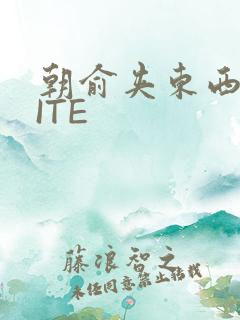 朝俞夹东西WRITE