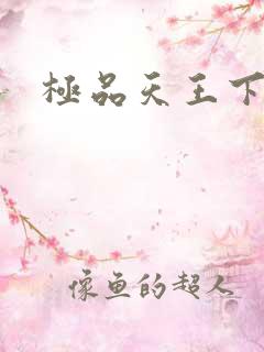 极品天王下载