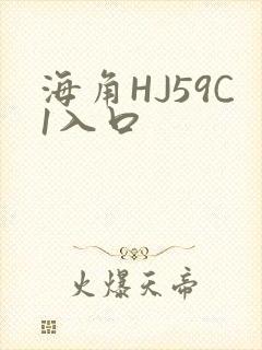 海角HJ59C1入口