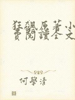 狂飙原著小说免费阅读全文