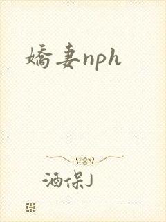 娇妻nph