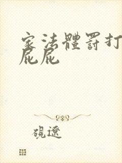 家法体罚打丫鬟屁屁