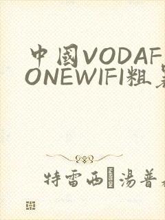 中国VODAFONEWIFI粗暴APP