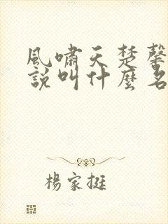 风啸天楚馨月小说叫什么名字