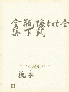 金瓶梅txt全集下载