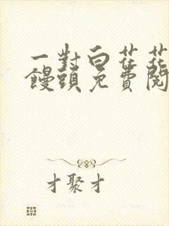 一对白花花的大馒头免费阅读