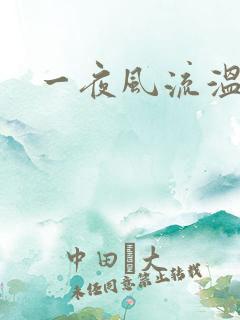 一夜风流温暮生