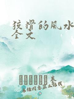 狡猾的风水相师全文