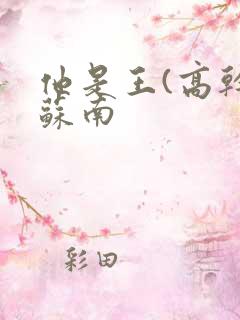 他是王(高干)苏南