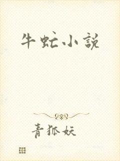 牛虻小说