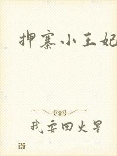 押寨小王妃