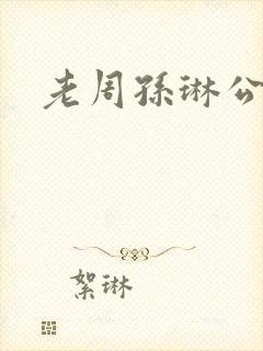 老周孙琳公交车