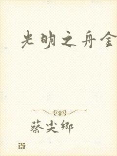 光明之舟金手指