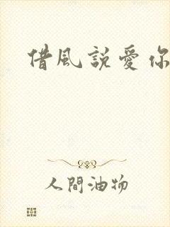 借风说爱你