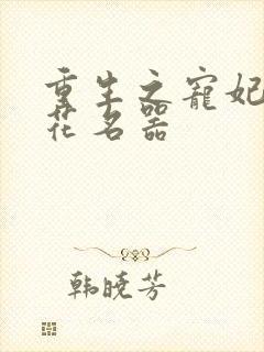 重生之宠妃白莲花名器