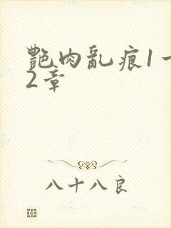艳肉乱痕1一12章