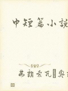 中短篇小说集