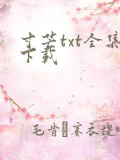 寸芒txt全集下载