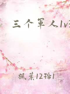 三个军人1v3