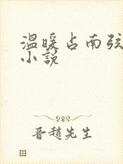 温暖占南弦尹衿小说
