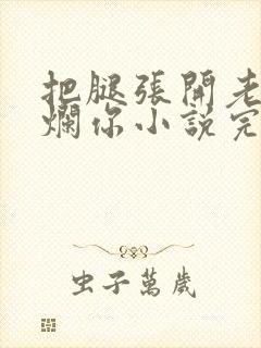 把腿张开老子臊烂你小说完