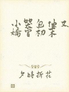小哭包他又软又娇曾初末