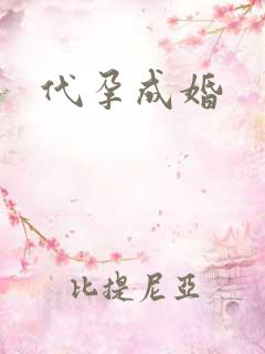 代孕成婚