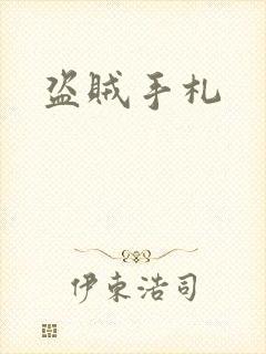 盗贼手札