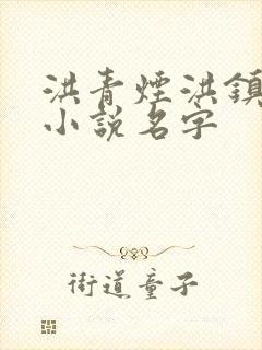 洪青烟洪镇国的小说名字