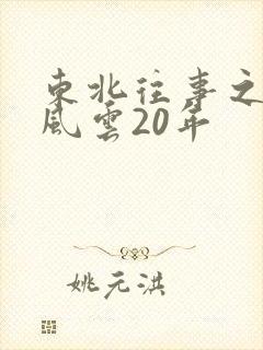 东北往事之黑道风云20年