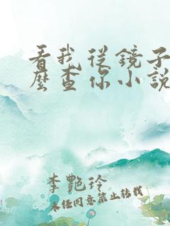 看我从镜子里怎么查你小说