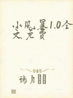 小风暴1.0全文免费