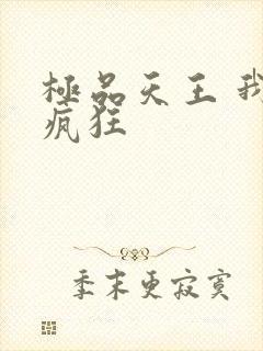 极品天王 我本疯狂