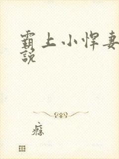 霸上小悍妻 小说