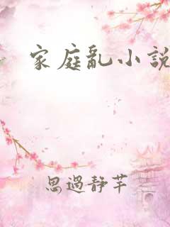 家庭乱小说