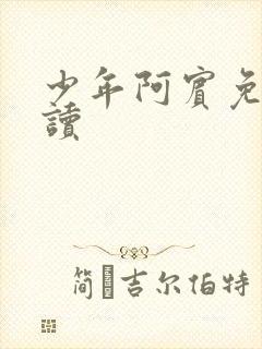 少年阿宾免费阅读