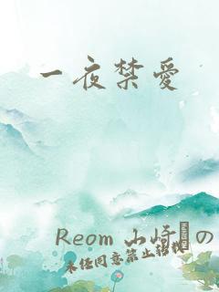 一夜禁爱