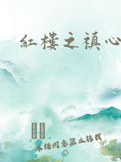 红楼之禛心锁玉