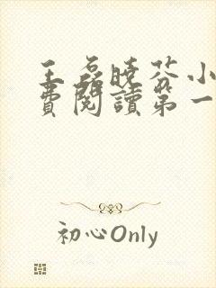 王磊晓芬小说免费阅读第一章