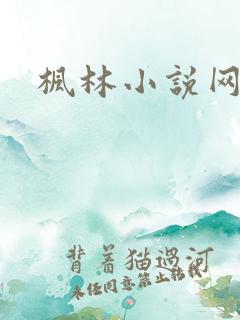 枫林小说网